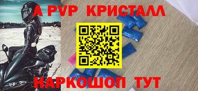 эйфоретик Кингисепп