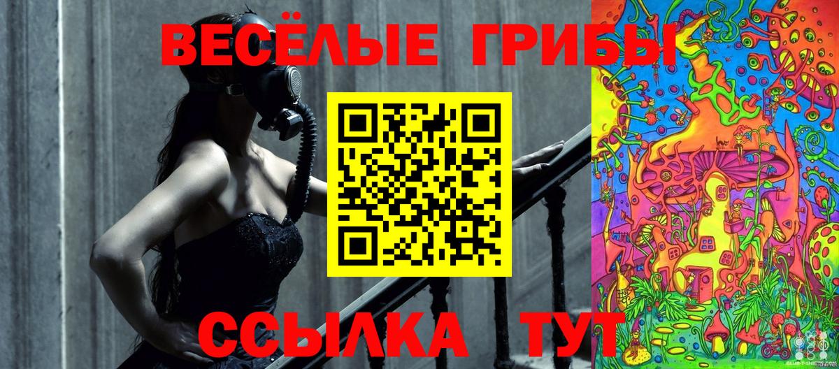 Галлюциногенные грибы Psilocybine cubensis Кумертау
