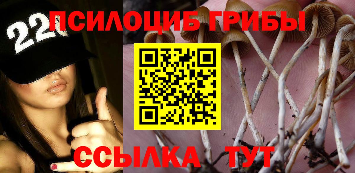 Галлюциногенные грибы Cubensis  Вход с VPN  Галлюциногенные грибы Magic Shrooms  Кумертау 